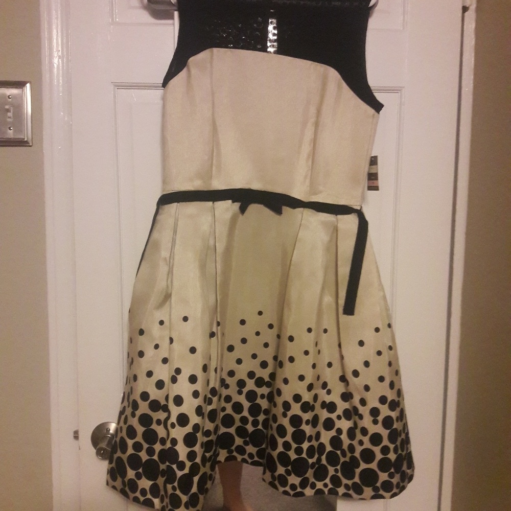 Taylor black and cream dress